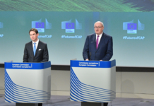 EU-Kommission legt Mitteilung zur GAP ab 2021 vor