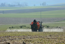 EU-Staaten verlängern Glyphosat-Zulassung um fünf Jahre