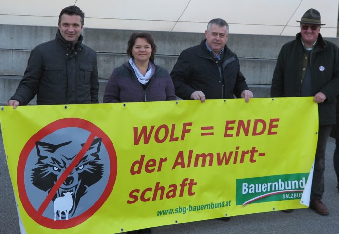 Wolfdemo Nov. Muenchen WEB
