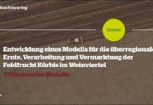 Maschinenring Cluster begleitet gemeinsame Ernte, Verarbeitung und Vermarktung von Kürbis