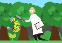 IGP präsentiert Video und Faktencheck zu Neonikotinoiden