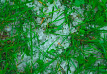 Österreichische Hagelversicherung: Auszeichnung zum besten Spezialversicherer 2017