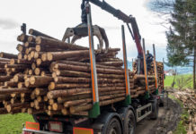 Kaskadennutzung auch bei Holz positiv