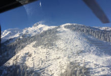 Bundesforste: Wald-Bilanz mit Schadholz und extremer Trockenheit