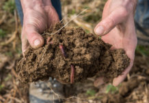 Bio Austria-Bauerntage 2018: Mut zur Veränderung