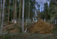 LR Benger: Rasches Vorgehen für die Sicherheit der Menschen