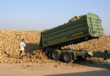 Zuckerrüben – “Liefermodell Österreich” gilt auch für 2018