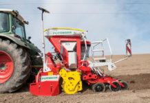 Maisaussaat in Doppelreihe