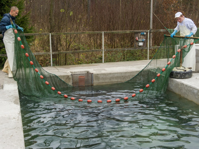 Aquakultur 2 ID70829