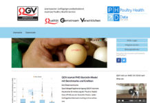 Neues QGV-Statistikmodul ermöglicht Vergleich zwischen Geflügelhaltern