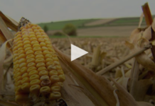 Wintertagung 2018: Nachhaltige Nahrungsmittel gibt es nicht umsonst