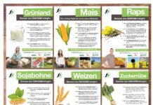 Kostenlose Feldtafeln der Jungbauern bestellen