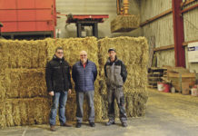 Bockfließ heizt CO2-neutral