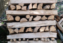 EU: Anteil der erneuerbaren Energien könnte bis 2030 auf 34 Prozent steigen