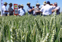 Öpul 2015 – Weiterbildunsverpflichtung bis Ende 2018 erfüllen