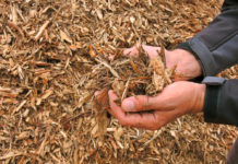 Hackgut – ein unterschätzter Alleskönner