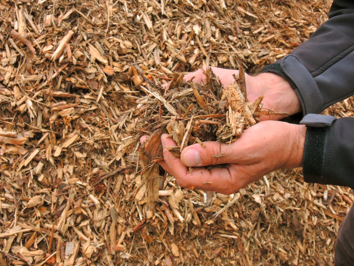 Hackschnitzel 20 ID76210