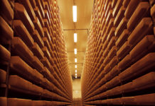 VÖM: Handelsabkommen müssen für Milchwirtschaft neue Chancen eröffnen