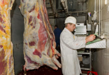 Österreich: Zahl der untersuchten Schlachtungen ging 2017 zurück