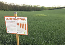 IGP-Projekt „schauFELDER“ – Pflanzenschutz ist ein Qualitätsmerkmal