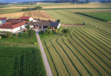 Budget: Bauerngelder bleiben für 2018 und 2019 stabil