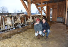 Wenn sich eines zum anderen fügt BZ/Mursch-Edlmayr