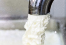 Meldefrist der Direktvermarktung von Milchprodukten endet am 31. März