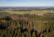 Land&Forst Betriebe Österreich: „Leistung muss sich lohnen“