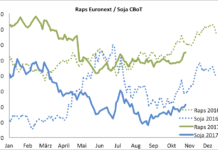 Terminmarkt International – Raps verbessert,Mais in Orientierungsphase