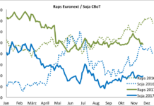 Terminmarkt International – Kursrückgänge bei Raps, Weizen und Mais