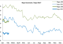 Terminmarkt International – Raps fester, Weizen ohne Potenzial, leichter Auftrieb für Mais