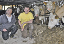 Seit der Kindheit war klar: „Ich werde Bauer“