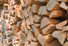 Schultes: Holz als Energielieferant muss weiter forciert werden
