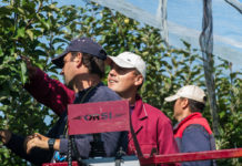 Update zur Beschäftigung von Dienstnehmern