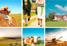 Fotowettbewerb für Bauernbund-Mitglieder