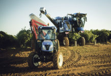 197,6 Tonnen Weintrauben mit Traubenvollernter in nur acht Stunden geerntet