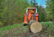 Österreichische Forsttagung 2018 vom 24. bis 25. Mai in Eisenstadt