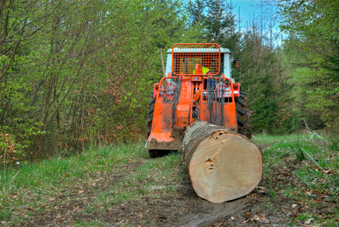 Holzbringung 12 ID42011