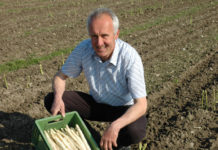 Gemüsebau: Erntehelfer schwer zu bekommen und zu halten