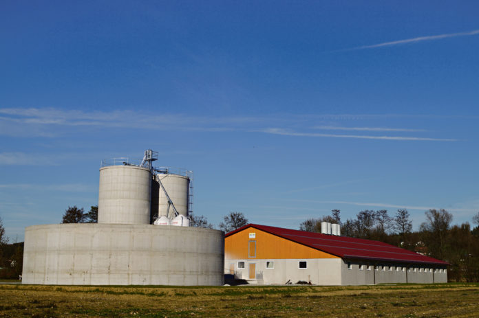 Landwirtschaftliche Bauten am neuesten Stand der Technik Lehner Systembau