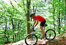 Fair-Play im Wald ist ein Muss für jeden Waldbesucher