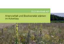 Artenvielfalt und Biodiversität stärken im Ackerbau