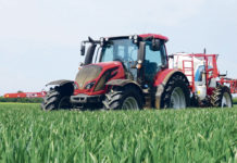 Guter Kern in schicker Schale