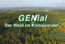 Neuer Film “GENial – Der Wald im Klimawandel” präsentiert