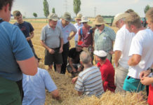 Flex- und Bandschneidwerke für einen besseren Durchsatz
