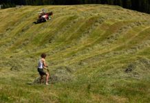 Karas: “EU-Agrarpolitik muss Zukunft unserer Bauern garantieren”