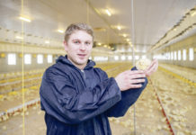 Umgesattelt – Hendlmast statt Koch & Kellner