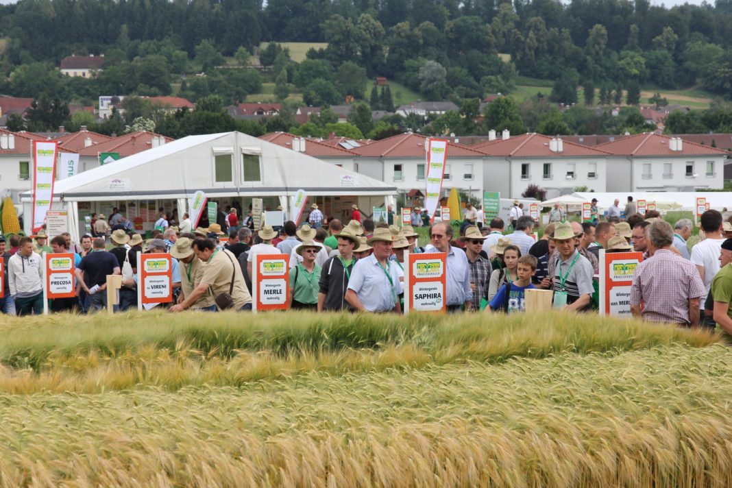 Lagerhaus