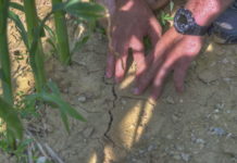 Klima-Enquete: Parlament diskutierte über die österreichische Klimastrategie