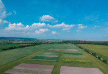 Biofeldtage am 15. und 16. Juni 2018